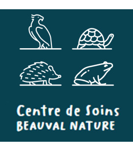 Don Beauval Nature 1 kilos Vers de Farine