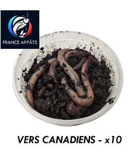 Vers Canadiens